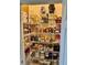 Organized walk-in pantry with wire shelving and ample storage for food and household items at 16343 Burniston Dr, Tampa, FL 33647