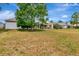 Expansive backyard featuring a large tree and a screened-in patio, perfect for outdoor relaxation and entertaining at 2823 Banyan Hill Ln, Land O Lakes, FL 34639