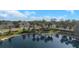 Aerial view of a home and community with a lake and palm trees at 4139 Rocky Shores Dr, Tampa, FL 33634