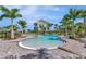 A sparkling community pool surrounded by lush greenery, palm trees, and comfortable lounge chairs at 4139 Rocky Shores Dr, Tampa, FL 33634