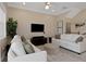 Bright living room with two sofas, an area rug, and a TV for a cozy and inviting space at 4139 Rocky Shores Dr, Tampa, FL 33634