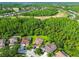 An aerial view showing multiple homes nestled among lush trees and golf course, offering a scenic community at 4227 Sandy Shores Dr, Lutz, FL 33558