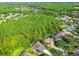 An aerial view of the homes with forest land nearby at 4227 Sandy Shores Dr, Lutz, FL 33558