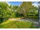 Lush backyard featuring a mature tree surrounded by grass, perfect for outdoor activities and relaxation at 4227 Sandy Shores Dr, Lutz, FL 33558