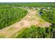 Aerial view of a lush green golf course surrounded by trees and residential area at 4227 Sandy Shores Dr, Lutz, FL 33558