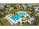 Stunning aerial view of a pool and lounge area with palm trees and lush landscaping at 4329 Barletta Ct, Wesley Chapel, FL 33543