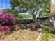 Spacious backyard with lush garden, mature trees offering a private outdoor space with pink flowers at 544 80Th N Ave, St Petersburg, FL 33702
