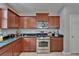 Modern kitchen features stainless steel appliances and ample cabinet space at 5914 Goldenbark Pl, Lithia, FL 33547