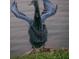 Dark bird with wings spread wide stands on a rock, feathers detailed and intricate at 5920 80Th N St # 103, St Petersburg, FL 33709