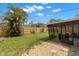 Spacious fenced backyard with a lush palm tree and covered screened patio at 6620 Del Prado Ter, New Port Richey, FL 34652