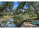 Picturesque waterfront view featuring a wooden dock, calm waterway, and lush, mature trees along the shoreline at 8517 Woodwick Ct, Tampa, FL 33615