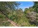 Backyard view of waterway featuring dense foliage and calm waters along waterside border at 8517 Woodwick Ct, Tampa, FL 33615