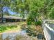Backyard with lush greenery and a picturesque creek view, enhanced by mature trees and beautiful landscaping at 934 Lucas Ln, Oldsmar, FL 34677