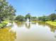 Scenic pond with a fountain centerpiece, framed by mature trees and lush greenery, offering a peaceful view at 934 Lucas Ln, Oldsmar, FL 34677