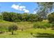 Picturesque backyard featuring a pond surrounded by natural landscaping and mature trees at 2436 Covington Ave, Spring Hill, FL 34608