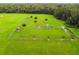 Sprawling green park with mature trees, a covered picnic area, and walking path surrounded by a beautiful tree line at 2712 Clubhouse Dr, Plant City, FL 33566