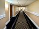Hallway leading to units, featuring fresh paint and a patterned carpet at 36750 Us 19 N Hwy # 3104, Palm Harbor, FL 34684