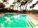 Community pool surrounded by tall trees and landscaping, providing a serene and relaxing atmosphere at 36750 Us 19 N Hwy # 3104, Palm Harbor, FL 34684