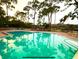 Community pool surrounded by tall trees and landscaping, providing a serene and relaxing atmosphere at 36750 Us 19 N Hwy # 3104, Palm Harbor, FL 34684