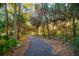 Scenic walking path through lush, tropical foliage with sunlight streaming through the trees at 509 Buckingham E Ave, Oldsmar, FL 34677