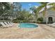 Community pool boasts chaise lounges and is surrounded by lush trees and greenery at 513 Harbor Springs Dr, Palm Harbor, FL 34683