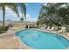 Community pool features a wading area, chaise lounges, mature trees and a covered seating area at 513 Harbor Springs Dr, Palm Harbor, FL 34683
