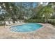 Community pool features a wading area, chaise lounges, mature trees and greenery at 513 Harbor Springs Dr, Palm Harbor, FL 34683