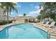 Community pool features a wading area, chaise lounges, mature trees and a covered seating area at 513 Harbor Springs Dr, Palm Harbor, FL 34683