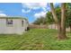 Large backyard featuring lush greenery and a tall wooden fence at 6612 W Chelsea St, Tampa, FL 33634