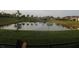 Scenic view of the lush backyard with tranquil pond at 8009 Trimbelle Ter, Parrish, FL 34219
