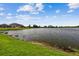 Scenic view of a tranquil pond with lush green grass and blue sky at 8772 Flourish Dr, Land O Lakes, FL 34637