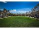 Expansive community green space lined with trees, offering ample room for recreation at 10035 New Parke Rd, Tampa, FL 33626
