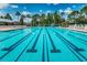 Community pool featuring lane markers for swimming laps and is surrounded by lush greenery and clear blue skies at 10035 New Parke Rd, Tampa, FL 33626