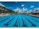 Dive into luxury with this community pool featuring marked lanes for swimming and stylish pennant decor at 10035 New Parke Rd, Tampa, FL 33626