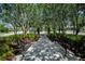 Beautiful community walkway with trees lining the walkway and benches on each side at 10035 New Parke Rd, Tampa, FL 33626