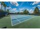 Enjoy a game of tennis on the community courts, complete with lighting for evening play and spectator seating at 10035 New Parke Rd, Tampa, FL 33626