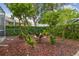 Backyard with decorative statue surrounded by mulch and green landscaping at 10229 Waterside Oaks Dr, Tampa, FL 33647