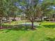 Community basketball court surrounded by lush green grass and mature trees, providing a recreational space for residents to enjoy outdoor activities at 10229 Waterside Oaks Dr, Tampa, FL 33647
