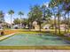 Outdoor basketball court featuring well-maintained lines and surrounding green space at 10229 Waterside Oaks Dr, Tampa, FL 33647