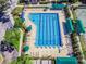 Top-down image showcases a long lap pool with marked lanes and lounge chairs for relaxation at 10229 Waterside Oaks Dr, Tampa, FL 33647