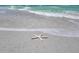 Beautiful beach scene featuring a white starfish on the sandy shore with ocean waves at 1070 Eldorado Ave, Clearwater Beach, FL 33767