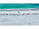 A bicycle is parked next to a picnic blanket on the white sandy beach at 1070 Eldorado Ave, Clearwater Beach, FL 33767