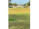 Expansive golf course with players, offering a scenic and active lifestyle at 1142 Sweet Jasmine Dr, Trinity, FL 34655