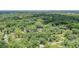 This aerial view showcases the neighborhood with many trees surrounding the homes at 1608 E Linden Ave, Tampa, FL 33604
