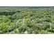 A wide aerial view of the neighborhood with many mature trees that canopy over the homes at 1608 E Linden Ave, Tampa, FL 33604