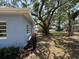 Exterior side view showing the light blue siding, neat landscaping, and mature trees that offer shade and privacy at 3000 58Th S Ave, St Petersburg, FL 33712