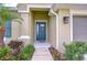 Close-up of the home's entry, showcasing the attractive front door and surrounding landscaping at 33518 Castaway Loop, Wesley Chapel, FL 33543