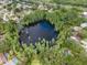 Overhead view of a beautiful lake in a residential neighborhood, surrounded by dense trees and a few private pools at 3428 Valley Ranch Dr, Lutz, FL 33548