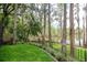 A beautifully landscaped backyard with lush lawn, mature trees, and a lake view at 3428 Valley Ranch Dr, Lutz, FL 33548