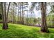 Lush backyard of the house with gorgeous lake views at 3428 Valley Ranch Dr, Lutz, FL 33548